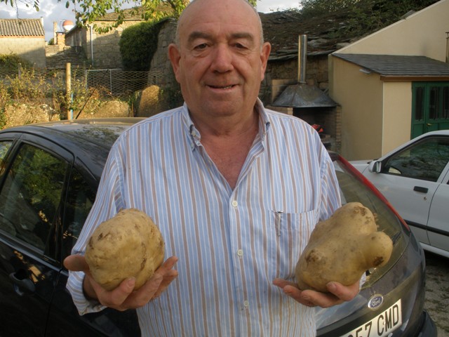 Vaya tres patatas, contando la cabeza del paisano.-